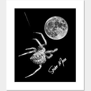 Spider Moon Posters and Art